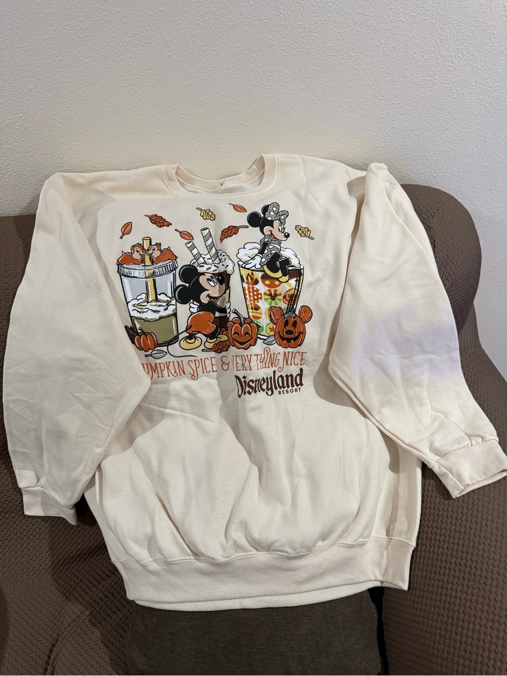 Disney Pumpkin Spice & Everything Nice Fall Drinks Mickey Minnie Sweater XL NEW